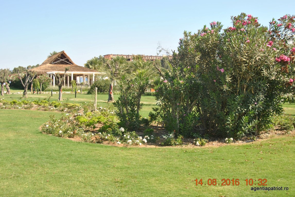 imagini hotel PALM WINGS EPHESUS